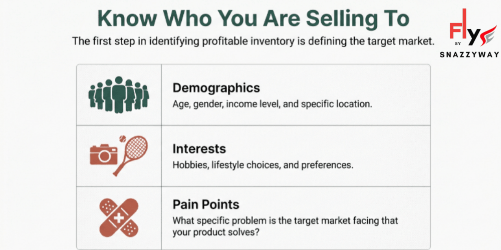 Target market analysis for dropshipping showing demographics, interests, and customer pain points