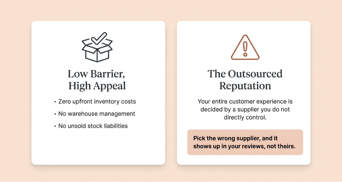 Illustration showing the benefits of dropshipping and the risks of relying on suppliers when building an online business in India.