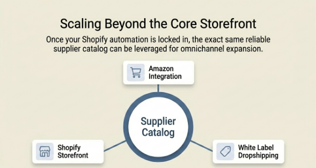 Infographic showing how a single supplier catalog enables omnichannel selling by connecting a Shopify store, Amazon integration, and white-label dropshipping from one centralized inventory source