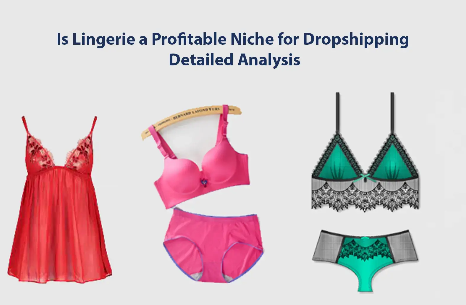 Is Lingerie a Profitable Niche for Dropshipping: Detailed Analysis