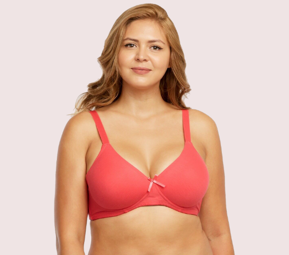 Dropship 2 Pack No Wire Full Cup Light Padded bra