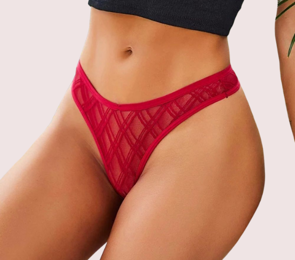 Dropship Ladies Low Waist Mesh Hollow Lace Panties