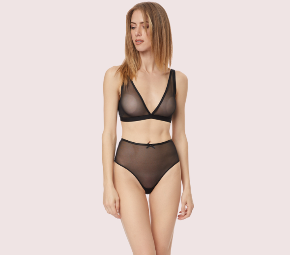 Dropship Sophisticated Shree Transparent Bra Panty Set