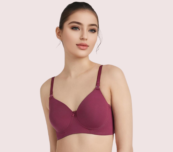 Dropship Velva Glow Seamless Lightly Padded Bra Duo