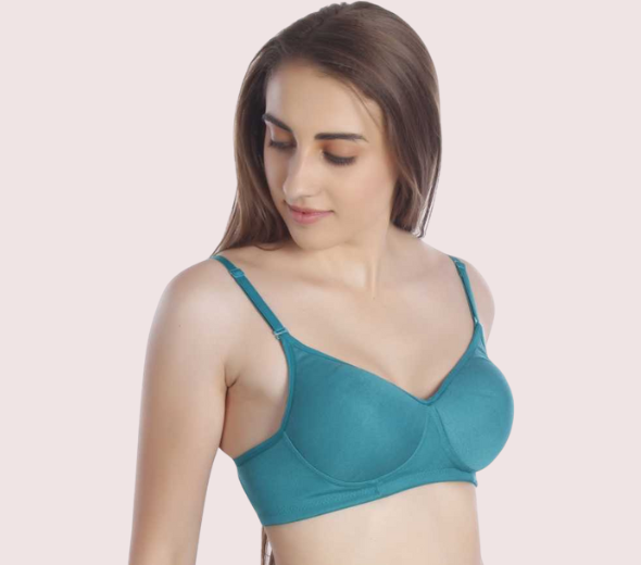 Dropship Women Full Coverage Lightly Padded Multicolor Bra