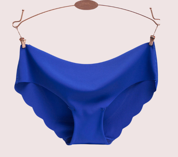 Dropship 4-Pack Seamless Hipster Panties