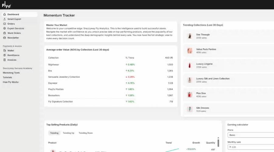 Snazzyway Fly Momentum Tracker dashboard showing product trends, average order value, and sales performance analytics