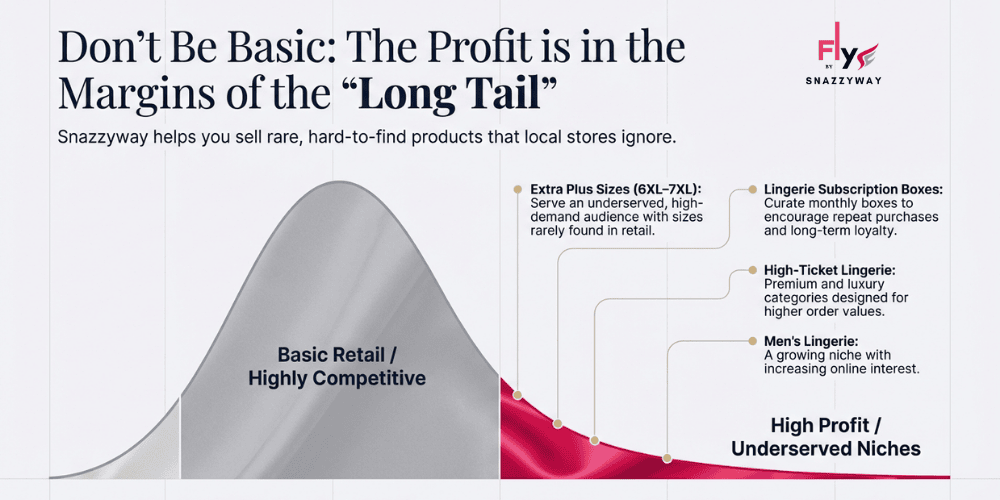 Best products for dropshipping in India showing high-profit long-tail niches like plus-size lingerie, premium lingerie, and subscription boxes